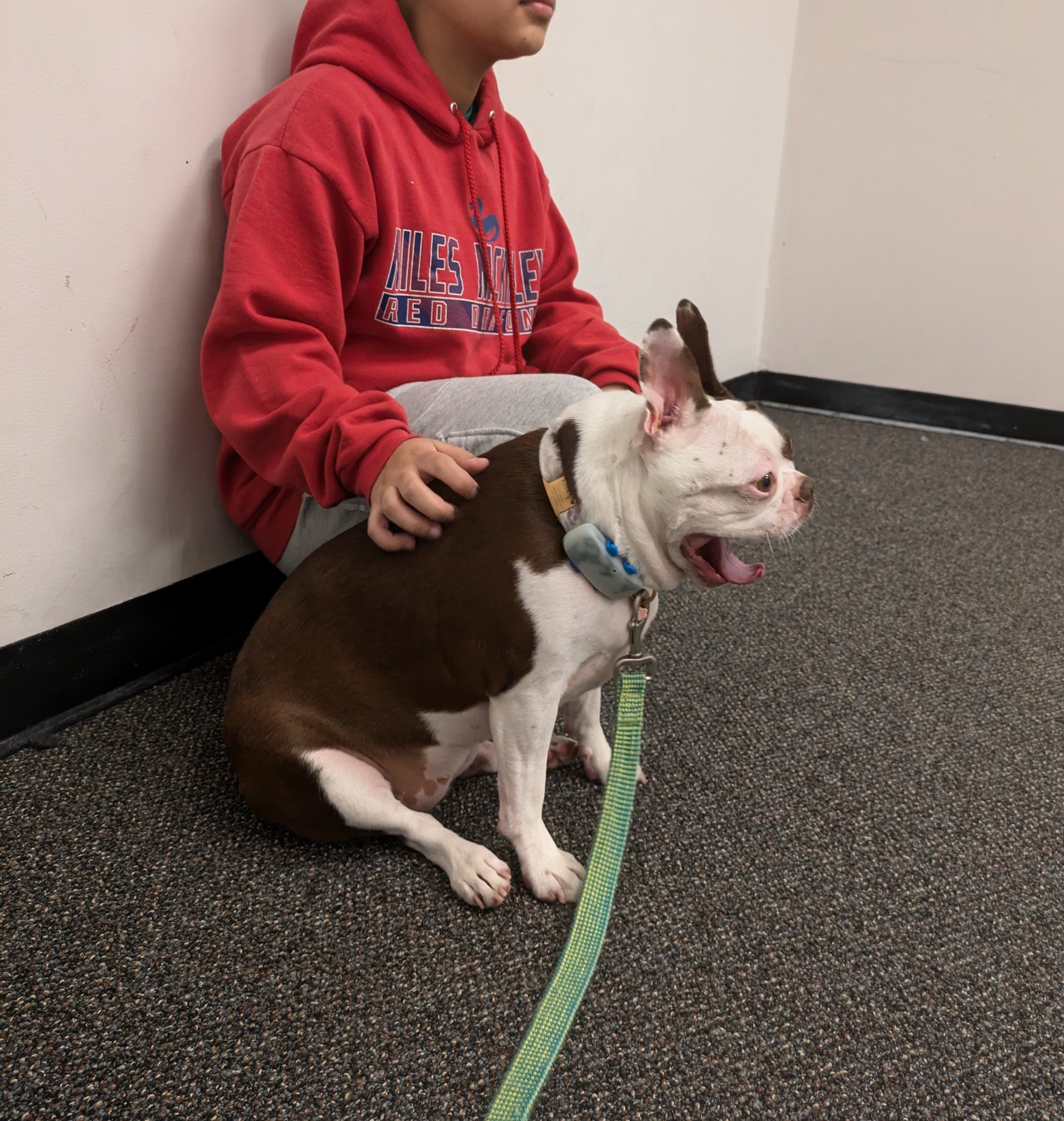 Ducky and young client